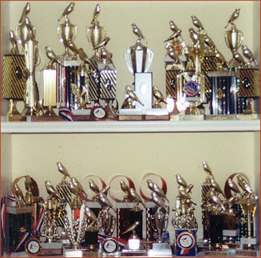 trophies